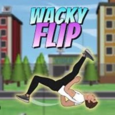Attachment wacky flip.jpg